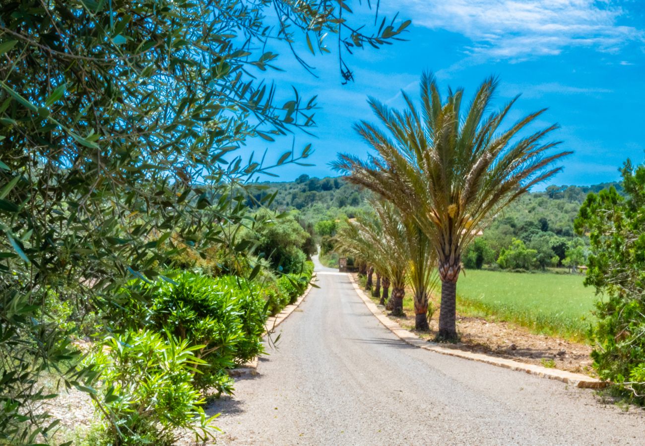 Country house in Felanitx - Son Peris Finca for 8 people with pool in Felanitx