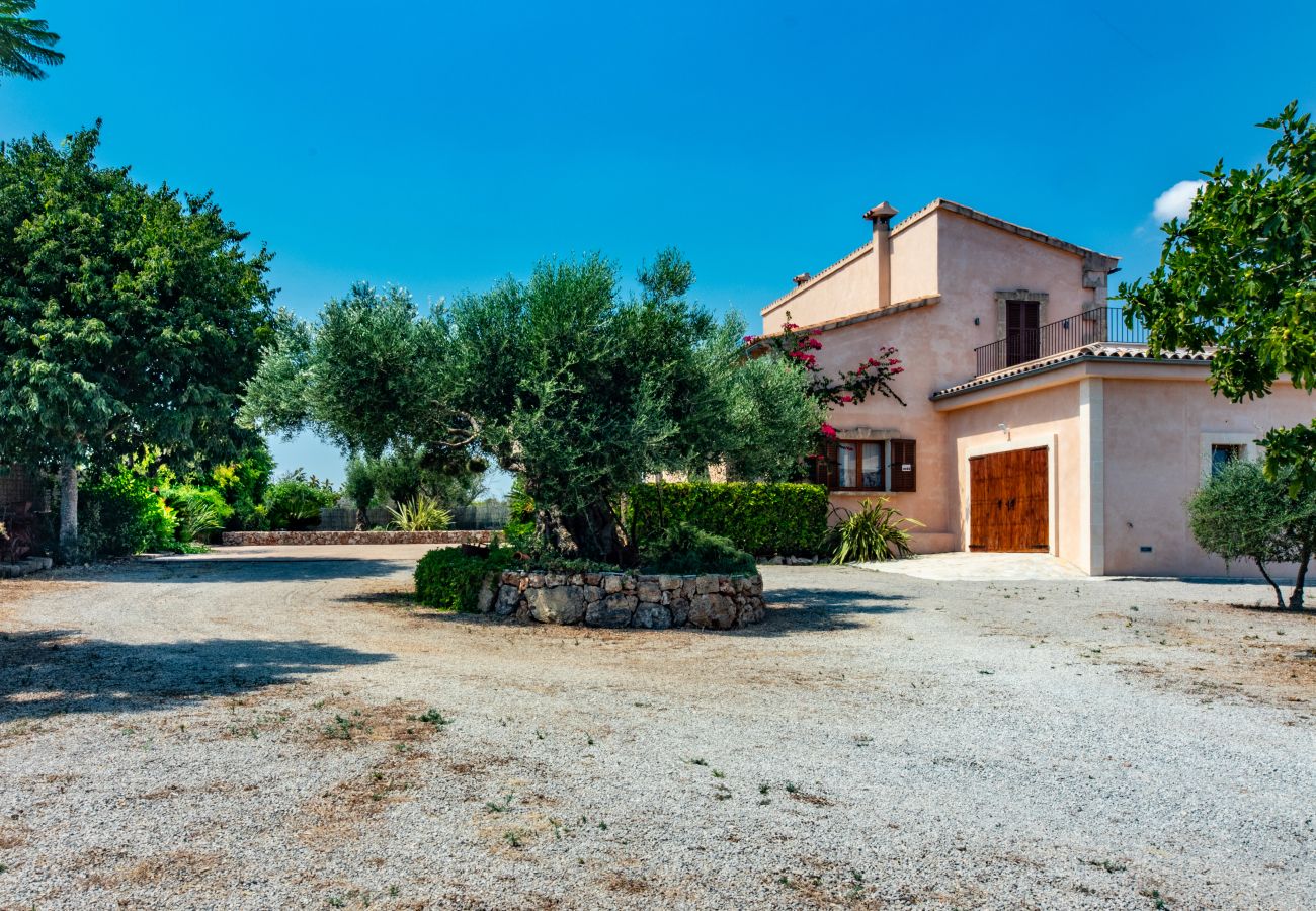 Country house in Can Picafort - Carritx Finca for 6 in Can Picafort with Pool, Garden and WiFi