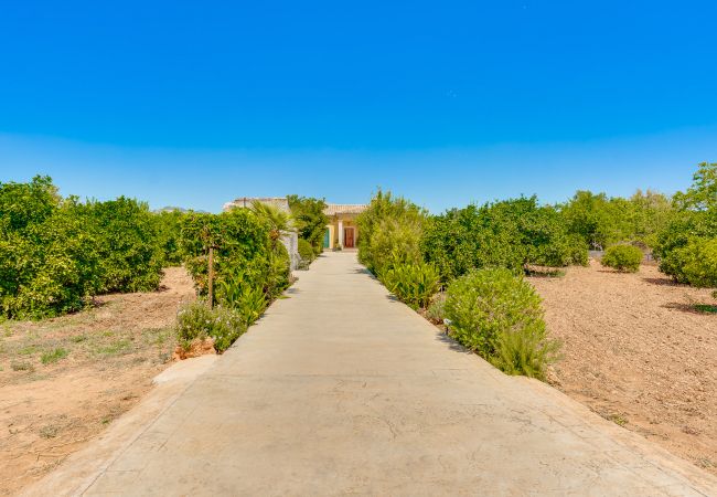 Country house in Buger - SON SERRA Mallorca Villa Selection