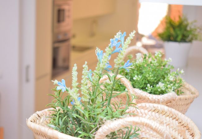 House in Muro - 002 Casa Can Salroig ETV/12975 by Mallorca Charm House in Muro - 002 Casa Can Salroig ETV/12975 by Mallorca Charm