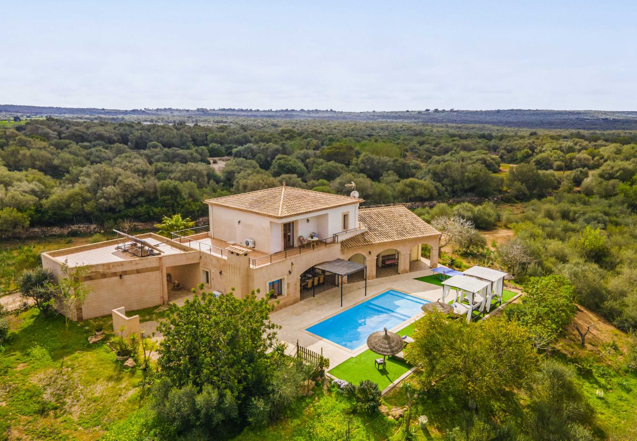 Country house in Campos - SA PEDRERA Finca for 8 in fields with swimming pool