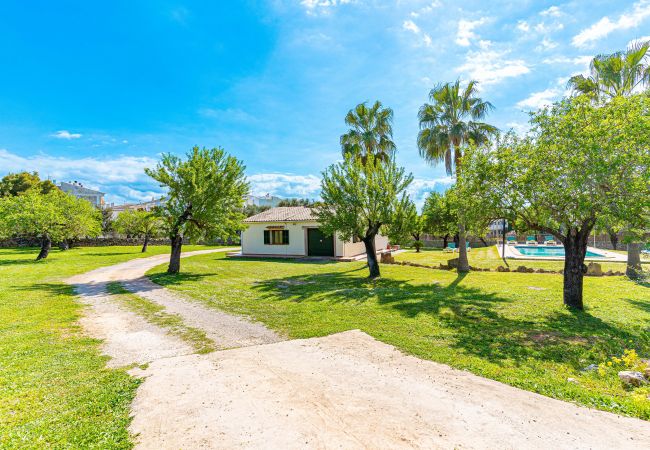 Villa in Alcudia - GALLINA Finca with pool for 8 people in Alcudia