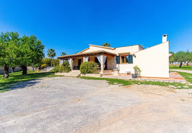 Villa in Alcudia - GALLINA Finca with pool for 8 people in Alcudia