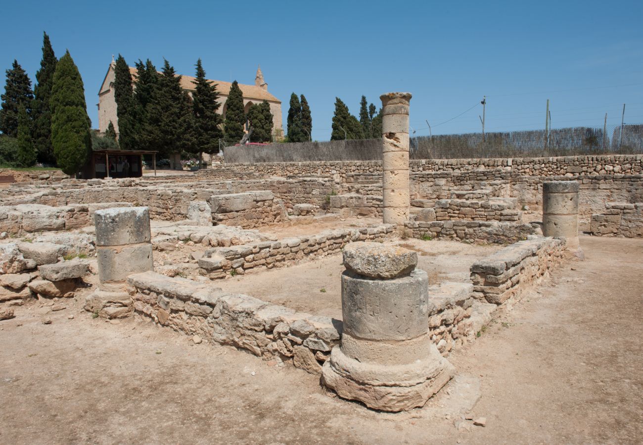 Roman Ruins