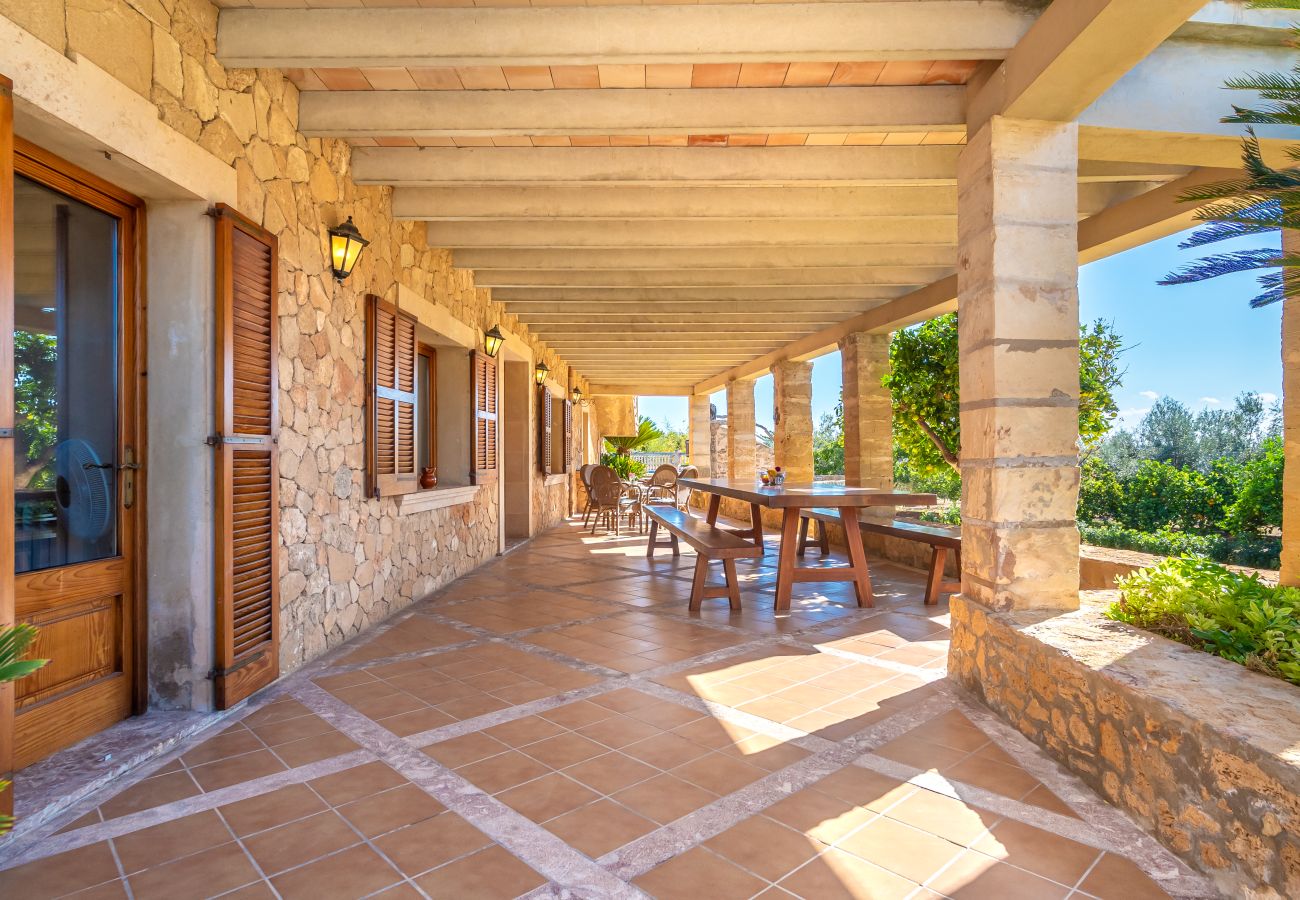 Villa  Alcudia 8 persons with pool