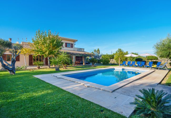 Villa/Dettached house in Santa Margalida - Son Duri for 10 with swimming pool Can Picafort