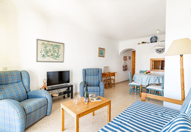 Apartment in Alcudia - Flat Anglada 54 in front of the beach for 4 with pool