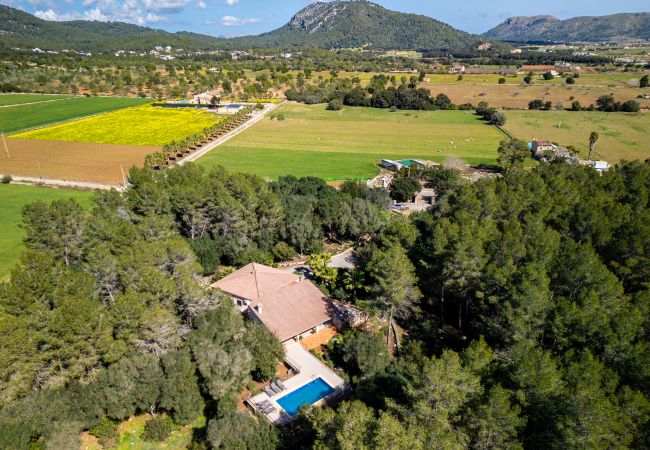 Villa in Sa Pobla - Ferragut Crestatx Finca for 6 with swimming pool