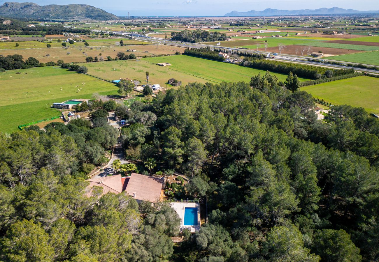 Villa in Sa Pobla - Ferragut Crestatx by Mallorca Villa Selection