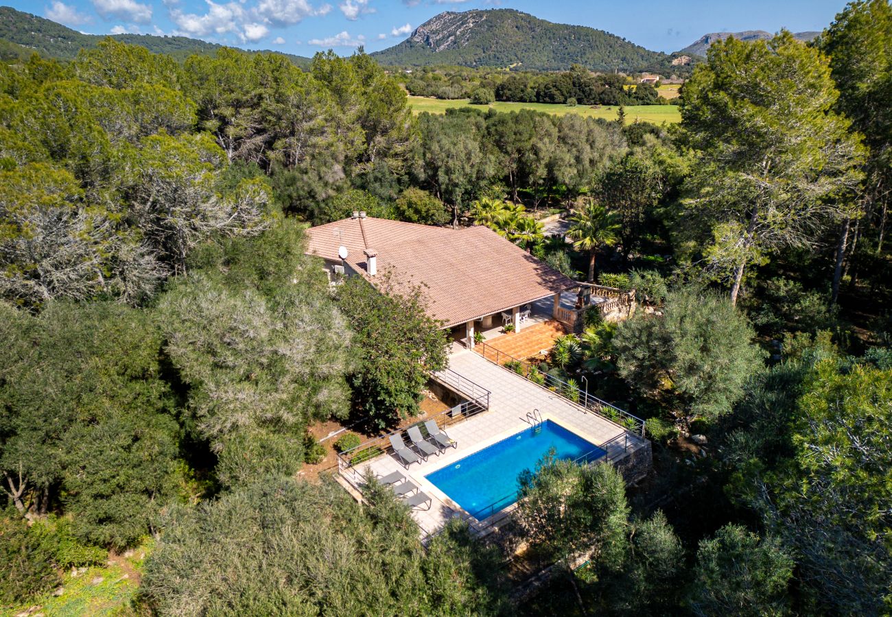 Villa in Sa Pobla - Ferragut Crestatx by Mallorca Villa Selection