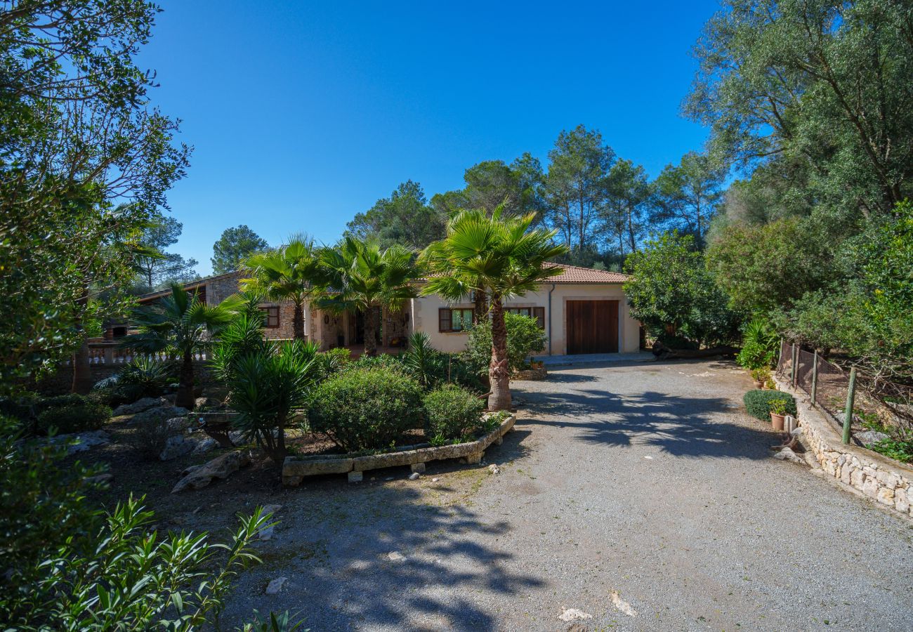 Villa in Sa Pobla - Ferragut Crestatx by Mallorca Villa Selection