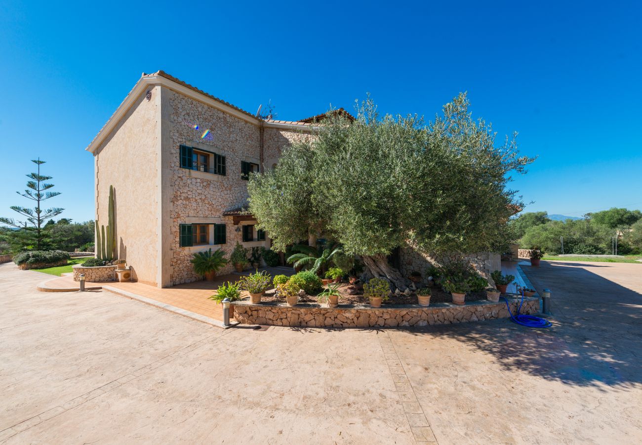 Country house in Palma de Mallorca - S`ARANJASSA 224853 Country house in Palma de Mallorca - S`ARANJASSA 224853