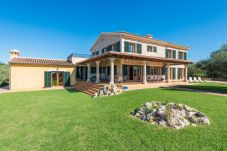Country house in Palma de Mallorca - S`ARANJASSA 224853