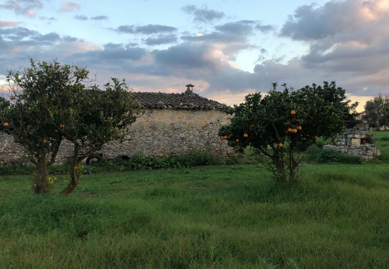 Cottage in Campanet - finca rústica campanet