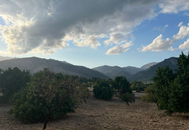 Country house in Moscari - Finca en Moscari