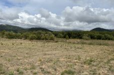 Country house in Sa Pobla - finca rústica en crestatx