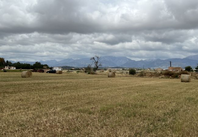 Cottage in Sa Pobla - Terreno con vivienda antigua entre Sa Pobla y Muro Cottage in Sa Pobla - Terreno con vivienda antigua entre Sa Pobla y Muro