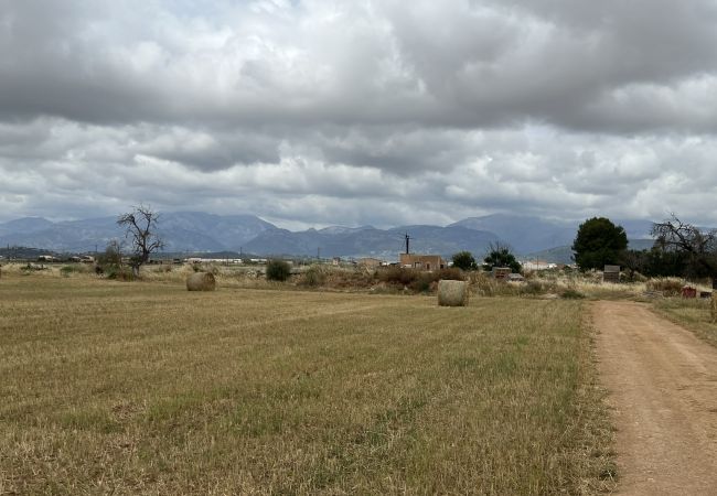 Cottage in Sa Pobla - Terreno con vivienda antigua entre Sa Pobla y Muro Cottage in Sa Pobla - Terreno con vivienda antigua entre Sa Pobla y Muro