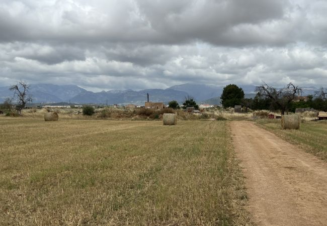 Cottage in Sa Pobla - Terreno con vivienda antigua entre Sa Pobla y Muro Cottage in Sa Pobla - Terreno con vivienda antigua entre Sa Pobla y Muro