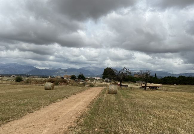 Cottage in Sa Pobla - Terreno con vivienda antigua entre Sa Pobla y Muro Cottage in Sa Pobla - Terreno con vivienda antigua entre Sa Pobla y Muro