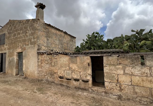 Cottage in Sa Pobla - Terreno con vivienda antigua entre Sa Pobla y Muro Cottage in Sa Pobla - Terreno con vivienda antigua entre Sa Pobla y Muro