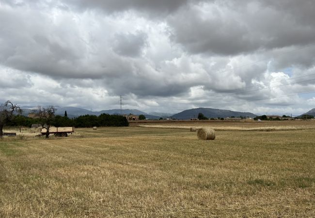 Cottage in Sa Pobla - Terreno con vivienda antigua entre Sa Pobla y Muro Cottage in Sa Pobla - Terreno con vivienda antigua entre Sa Pobla y Muro