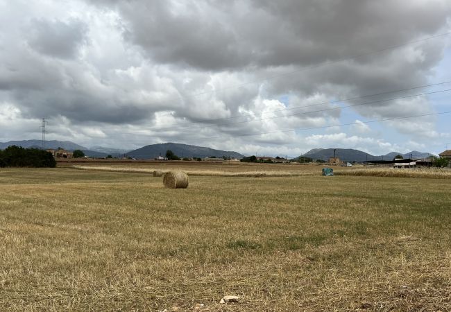 Cottage in Sa Pobla - Terreno con vivienda antigua entre Sa Pobla y Muro Cottage in Sa Pobla - Terreno con vivienda antigua entre Sa Pobla y Muro
