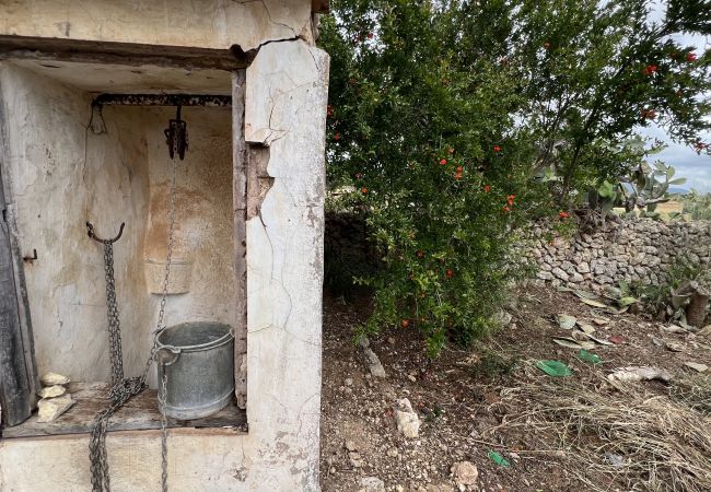 Cottage in Sa Pobla - Terreno con vivienda antigua entre Sa Pobla y Muro Cottage in Sa Pobla - Terreno con vivienda antigua entre Sa Pobla y Muro