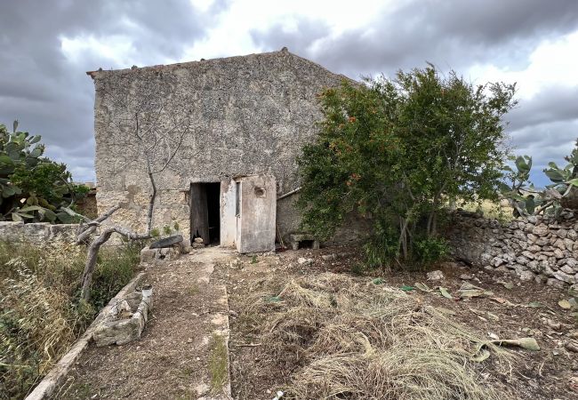 Cottage in Sa Pobla - Terreno con vivienda antigua entre Sa Pobla y Muro Cottage in Sa Pobla - Terreno con vivienda antigua entre Sa Pobla y Muro