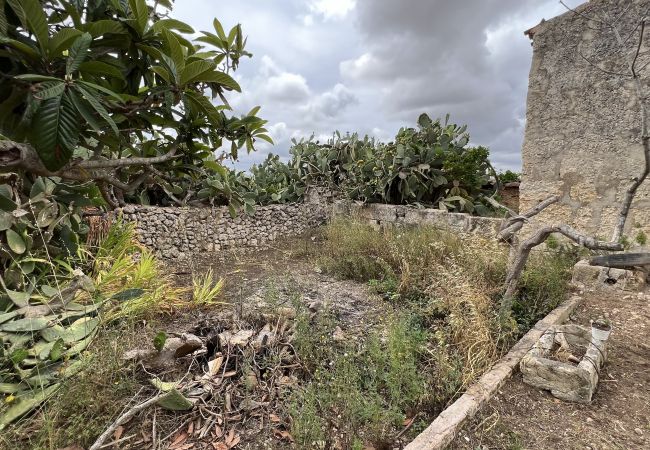 Cottage in Sa Pobla - Terreno con vivienda antigua entre Sa Pobla y Muro Cottage in Sa Pobla - Terreno con vivienda antigua entre Sa Pobla y Muro