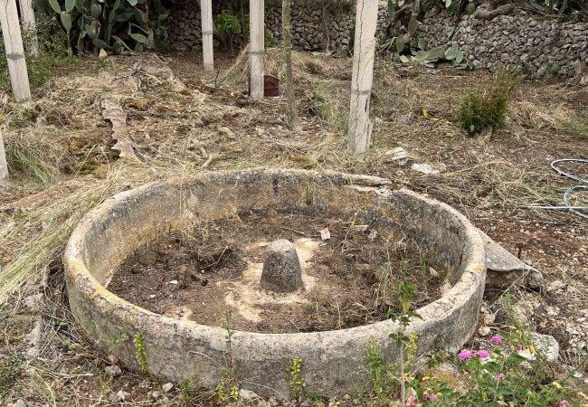 Cottage in Sa Pobla - Terreno con vivienda antigua entre Sa Pobla y Muro Cottage in Sa Pobla - Terreno con vivienda antigua entre Sa Pobla y Muro