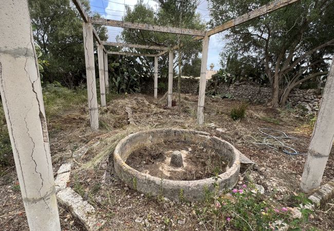 Cottage in Sa Pobla - Terreno con vivienda antigua entre Sa Pobla y Muro Cottage in Sa Pobla - Terreno con vivienda antigua entre Sa Pobla y Muro