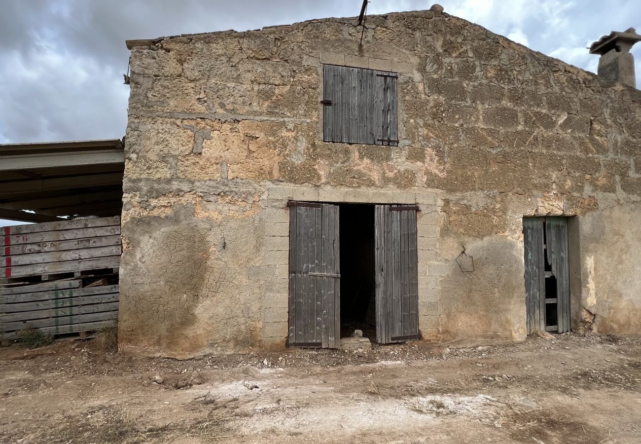 Cottage in Sa Pobla - Terreno con vivienda antigua entre Sa Pobla y Muro Cottage in Sa Pobla - Terreno con vivienda antigua entre Sa Pobla y Muro