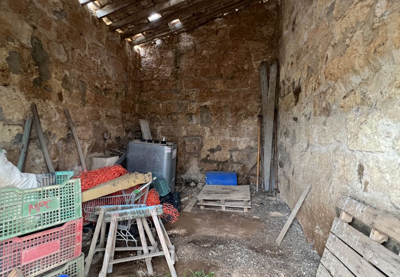 Cottage in Sa Pobla - Terreno con vivienda antigua entre Sa Pobla y Muro Cottage in Sa Pobla - Terreno con vivienda antigua entre Sa Pobla y Muro