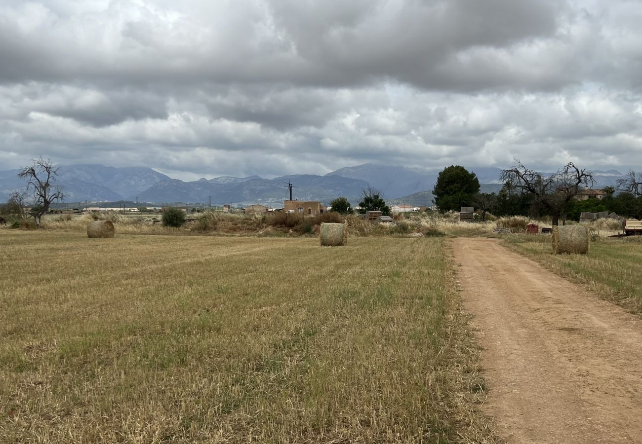 Cottage in Sa Pobla - Terreno con vivienda antigua entre Sa Pobla y Muro Cottage in Sa Pobla - Terreno con vivienda antigua entre Sa Pobla y Muro