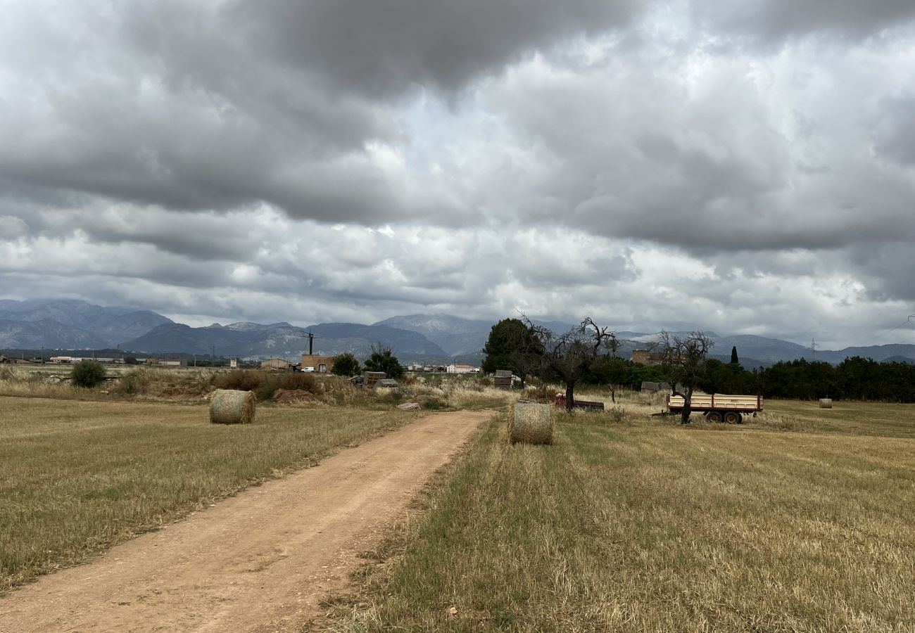 Cottage in Sa Pobla - Terreno con vivienda antigua entre Sa Pobla y Muro Cottage in Sa Pobla - Terreno con vivienda antigua entre Sa Pobla y Muro