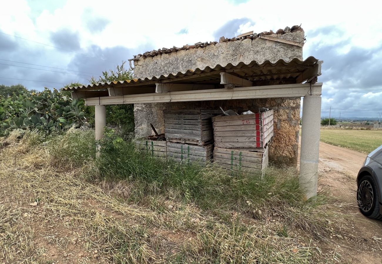 Cottage in Sa Pobla - Terreno con vivienda antigua entre Sa Pobla y Muro Cottage in Sa Pobla - Terreno con vivienda antigua entre Sa Pobla y Muro