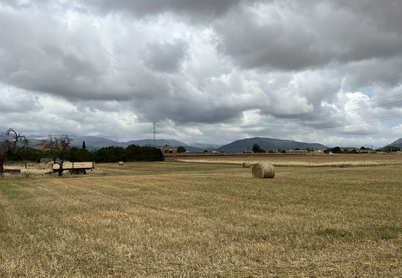 Cottage in Sa Pobla - Terreno con vivienda antigua entre Sa Pobla y Muro Cottage in Sa Pobla - Terreno con vivienda antigua entre Sa Pobla y Muro
