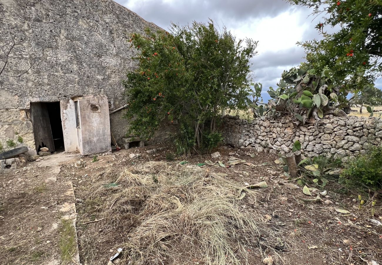 Cottage in Sa Pobla - Terreno con vivienda antigua entre Sa Pobla y Muro Cottage in Sa Pobla - Terreno con vivienda antigua entre Sa Pobla y Muro