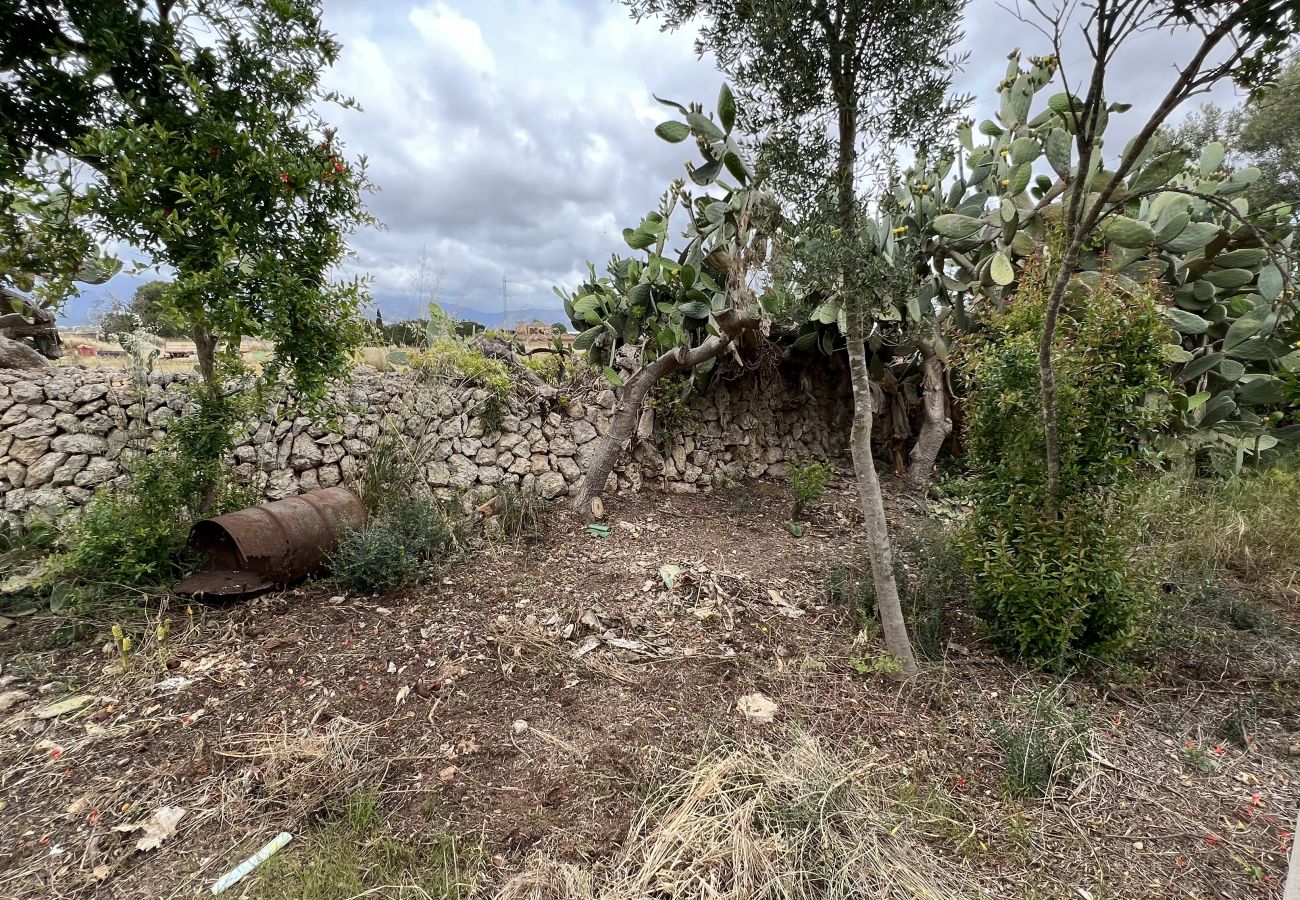 Cottage in Sa Pobla - Terreno con vivienda antigua entre Sa Pobla y Muro Cottage in Sa Pobla - Terreno con vivienda antigua entre Sa Pobla y Muro
