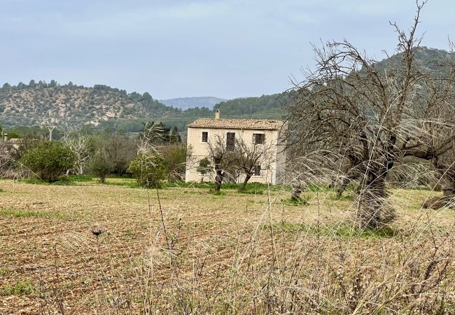 Cottage in Binissalem - finca rústica en binissalem