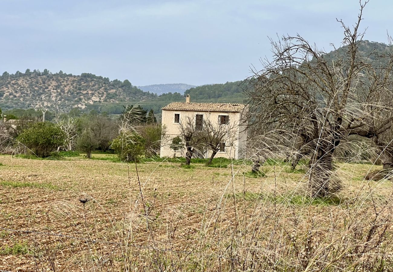 Cottage in Binissalem - finca rústica en binissalem