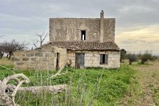 Cottage in Binissalem - finca rústica en binissalem