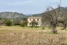Cottage in Binissalem - finca rústica en binissalem