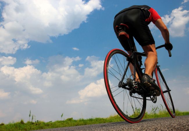 Villa à Sa Pobla - 261 Villa Son Manyo ET/1982 by Mallorca Charme Villa à Sa Pobla - 261 Villa Son Manyo ET/1982 by Mallorca Charme