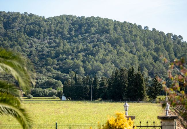 Domaine à Sa Pobla - 040 Villa Can Mussol ETV/1463 by Mallorca Charme Domaine à Sa Pobla - 040 Villa Can Mussol ETV/1463 by Mallorca Charme