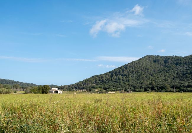 Domaine à Sa Pobla - 040 Villa Can Mussol ETV/1463 by Mallorca Charme Domaine à Sa Pobla - 040 Villa Can Mussol ETV/1463 by Mallorca Charme