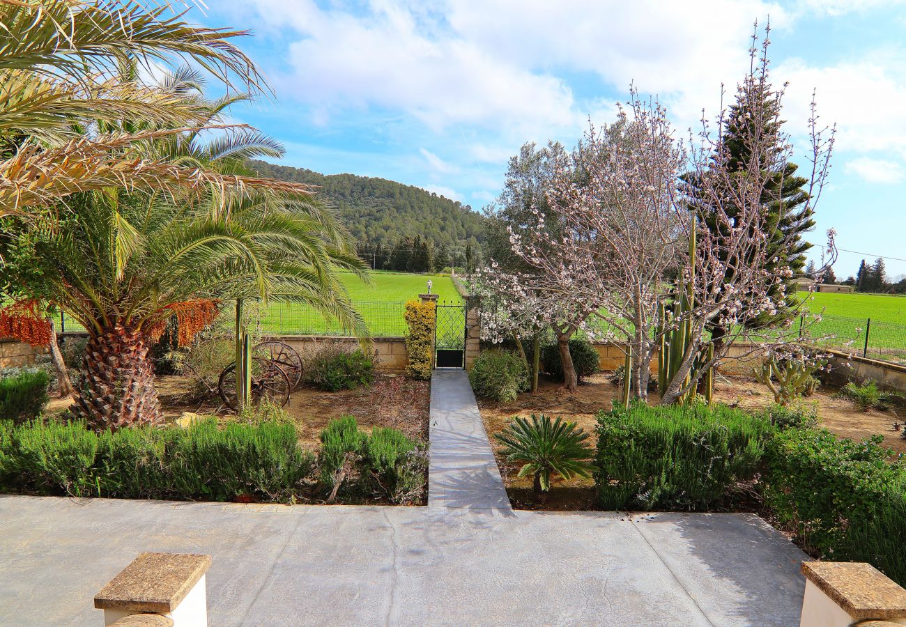 Domaine à Sa Pobla - 040 Villa Can Mussol ETV/1463 by Mallorca Charme