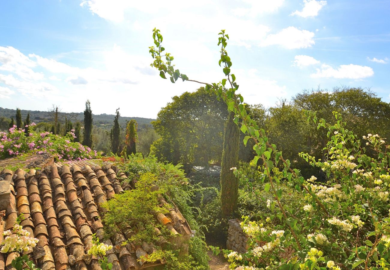 Domaine à Llubi - 047 Finca Son Barraquer ETV/5204 by Mallorca Charm