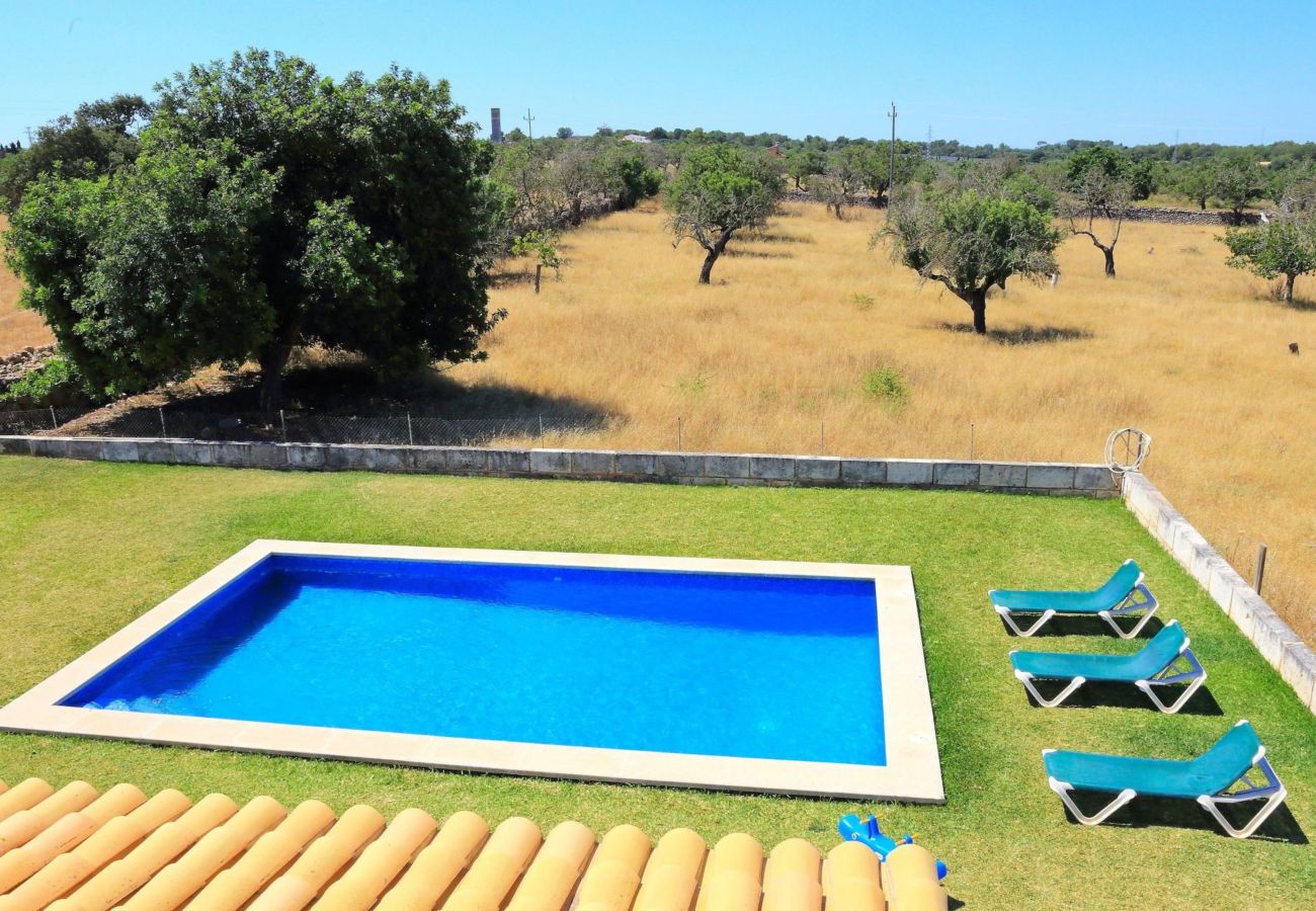 villa, campagne, piscine, Can Picafort, jardin
